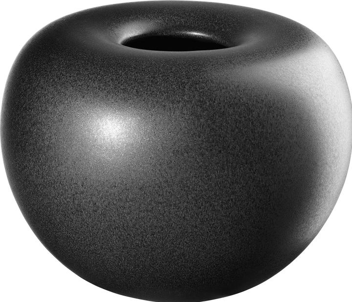 Image du produit ASA Selection fer noir