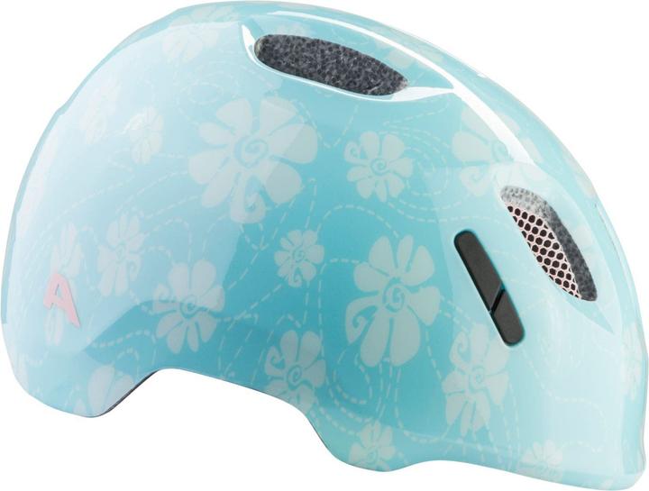 Image du produit Alpina Ximo 2 (45 - 49 cm)