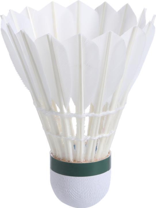 Produktbild Perfly FSC 560