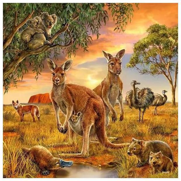 Actual product image Ravensburger animals of the earth (49 pieces)