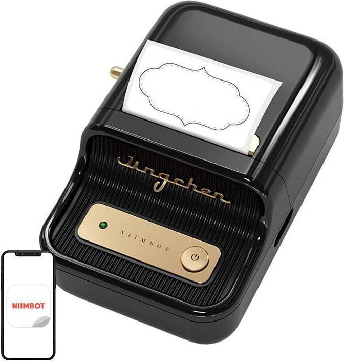 Actual product image Niimbot B21 (203 dpi)