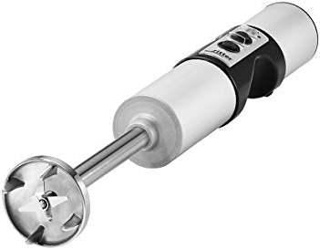 Actual product image Ritter Hand blender