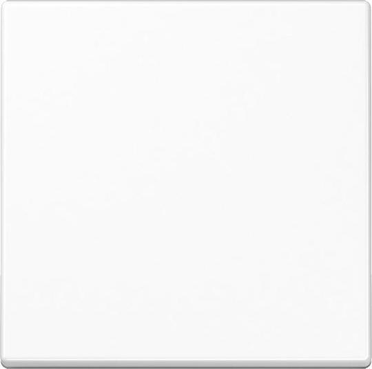 Actual product image JUNG Rocker f. switch/button - A590BFWW Series A alpine white