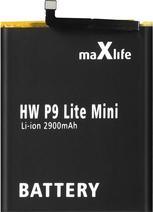 Actual product image Maxlife 2900mAh auxiliary battery