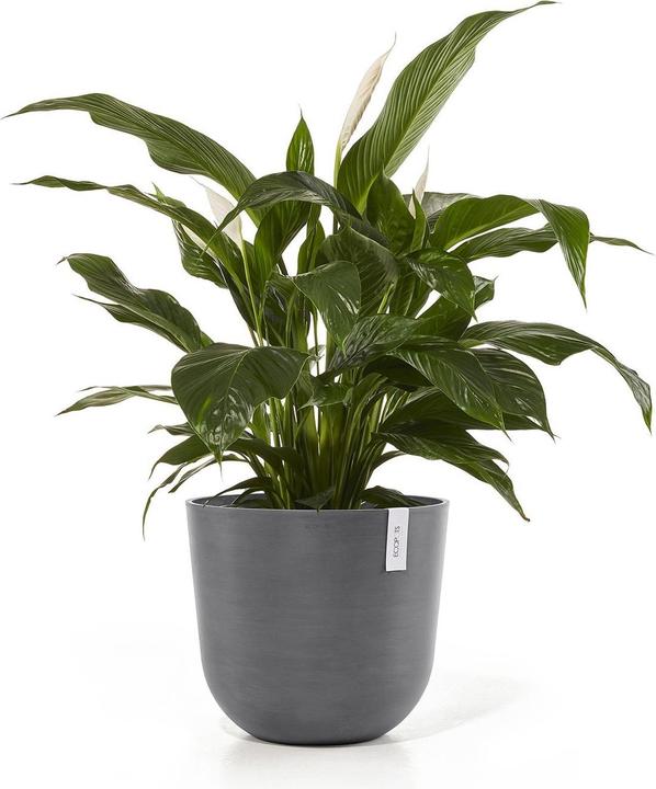 Actual product image Ecopots Oslo (45 cm)