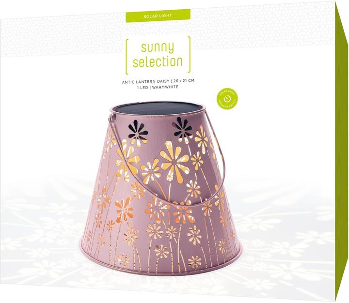 Produktbild STT Daisy