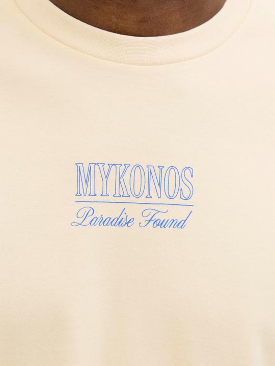 Immagine prodotto Jack & Jones Gedruckt Rundhalsausschnitt T-shirt T-shirt (XL)
