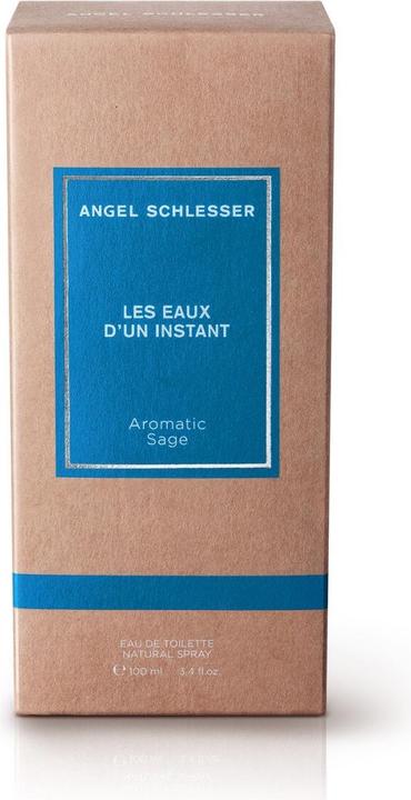 Actual product image Angel Schlesser Instant Aromatic Sage EDT 100ml (Eau de toilette, 100 ml)