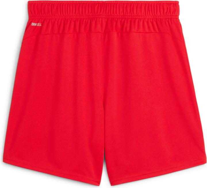 Actual product image Puma teamGOAL Shorts Wmns (S)