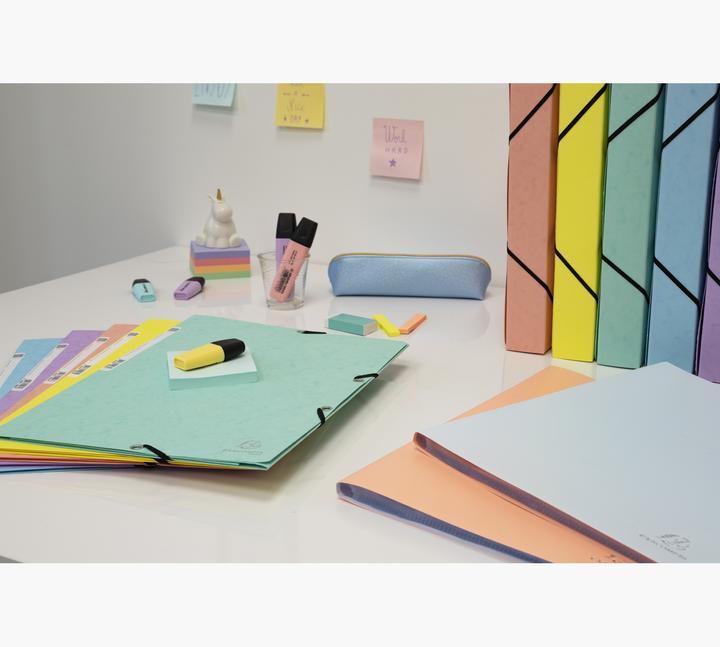 Produktbild Exacompta Sichtmappen (A4, 1x)