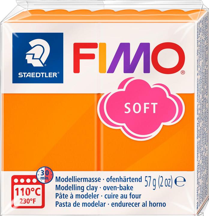 Actual product image Fimo Soft- Block