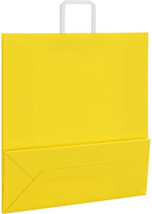 Produktbild vidaXL Papiertragetasche (250x)