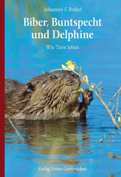 Produktbild Biber, Buntspecht und Delphine (Deutsch, Johannes F. Brakel, 2008)