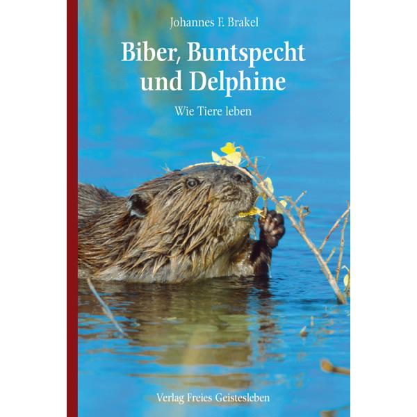 Thumbnail - Biber, Buntspecht und Delphine, Kinderbücher von Johannes F. Brakel
