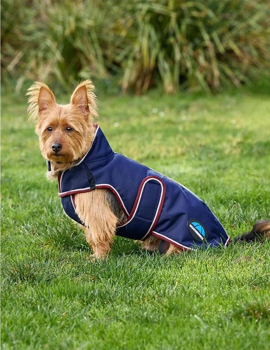 Actual product image Weatherbeeta Comfitec Premier Deluxe (75, Dog raincoat)