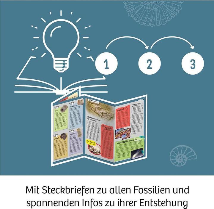 Produktbild Kosmos Kosmos