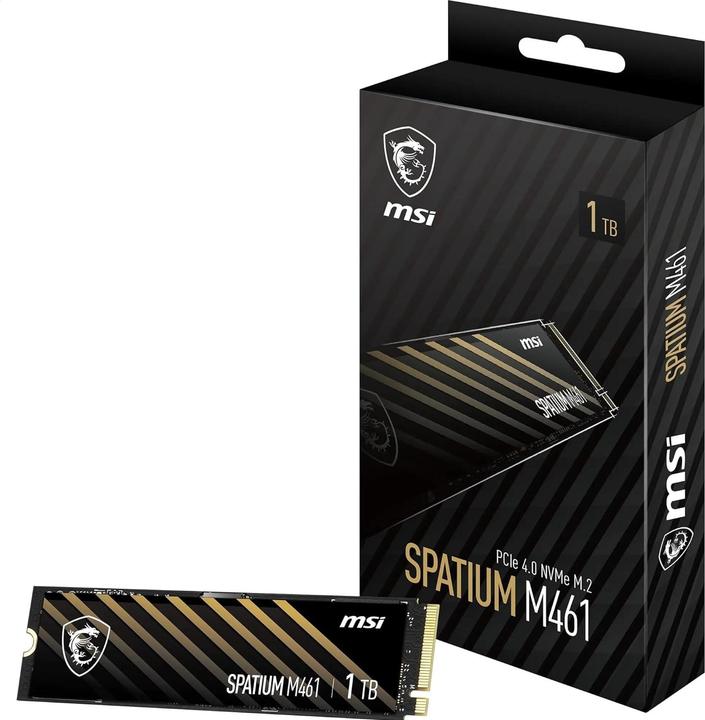 Immagine prodotto MSI Spatium M461 (1000 GB, M.2)