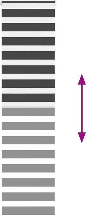 Produktbild vidaXL Zebra-Jalousie (60 x 230 cm)