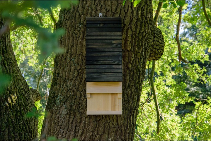 Immagine prodotto Dobar Bat box 19,5 x 14 x 53,5 cm