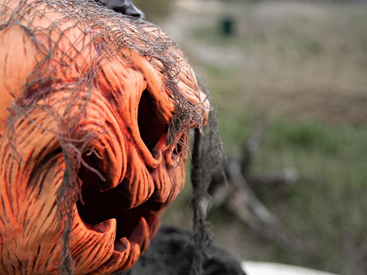 Actual product image Europalms Halloween pumpkin monster (1 Piece)