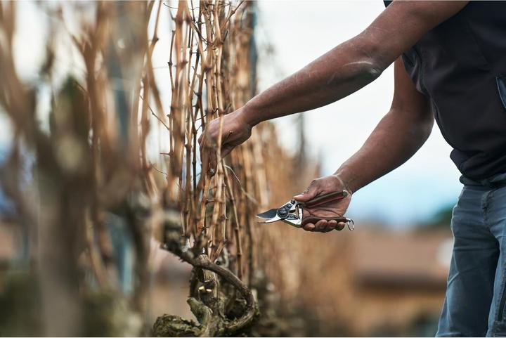 Immagine prodotto Felco 6 Elite