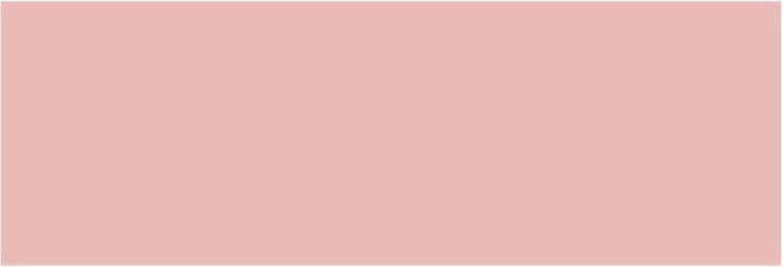 Actual product image Clarins Lip Perfector (No. 01 - Reflet Rose)