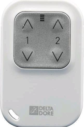 Actual product image Delta Dore Radio remote control TYXIA 1400
