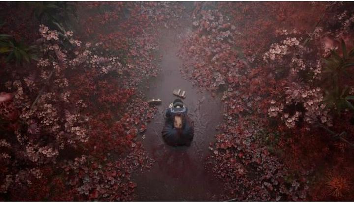 Image du produit Konami Silent Hill f - Édition Day One (Xbox Series X, EN)