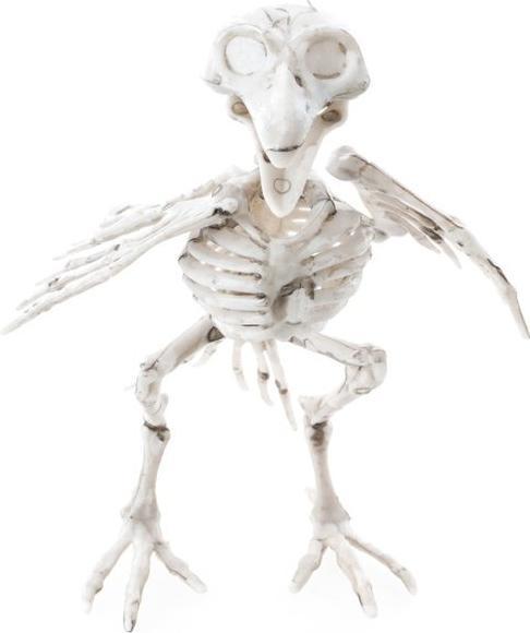 Produktbild Chaks Raben Skelett