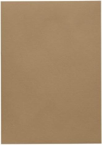 Produktbild Artoz 1001 A4 220g olive 5 Kartons (A4, 220 g/m², 5 x)