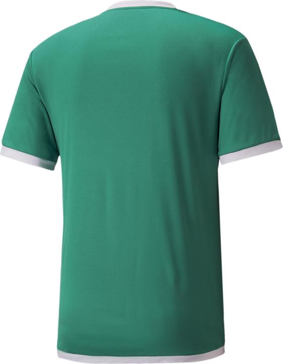 Actual product image Puma teamLIGA Jersey-704917 (XXL)