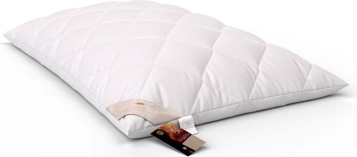 Immagine prodotto Erzstef Allergia Chemnitz (65 x 100 cm)