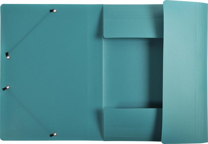 Actual product image Exacompta Collection folder with elastic band (A4)