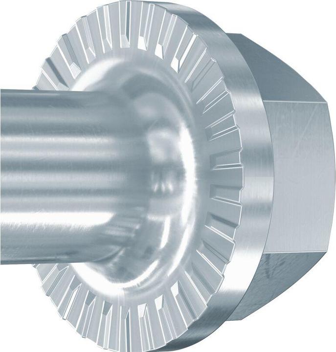 Image du produit Fischer 558224 (20 Vis par pièce)