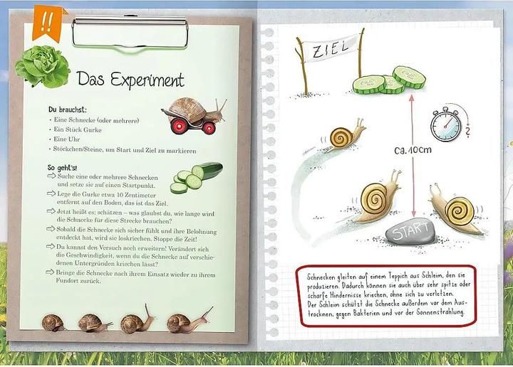 Actual product image Naturforscher-Kids – Mein erstes Naturforscher-Buch (German, Eva Eich, Natasa Kaiser, 2024)