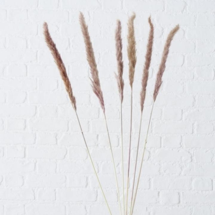 Actual product image Boltze Home Pampasgras