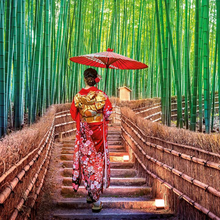 Actual product image Inside Japan 2026 (30 x 30 cm)