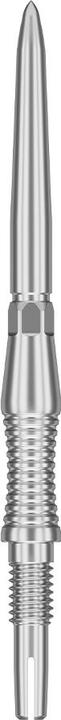 Image du produit Target Swiss Point Storm RST Spitzen - Silber 30mm