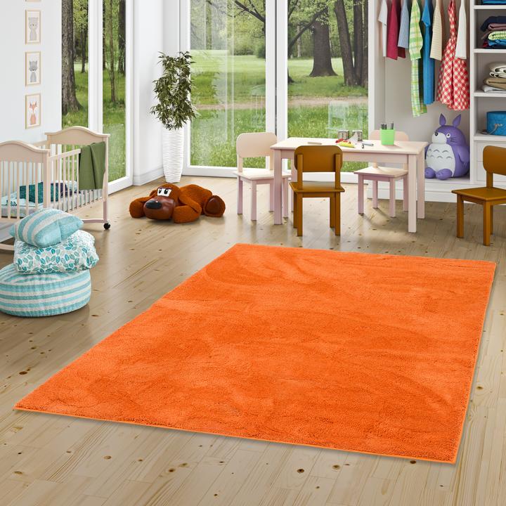 Produktbild Pergamon Super Soft Kinder Hochflor Teppich Silky Kids (120 x 170 cm)
