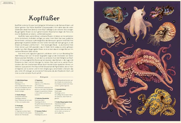 Produktbild Das Museum des Meeres (Deutsch, Loveday Trinick, Teagan White, 2021)