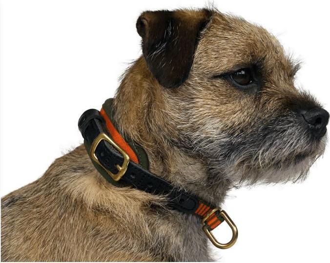 Actual product image Niggeloh Collar DeLuxe (XS, Dog, Dog sport)