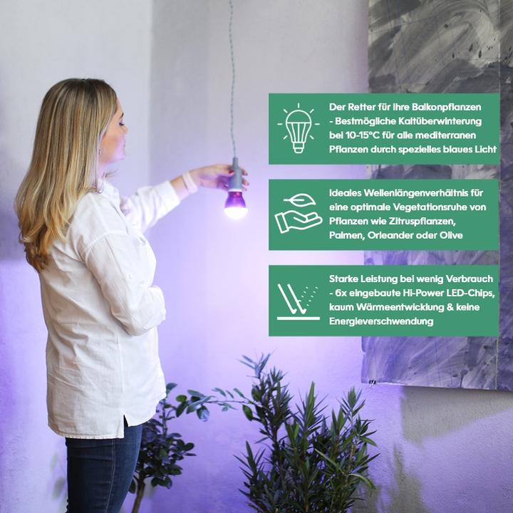 Actual product image Venso Grow Light Winter (LED, 245 V)