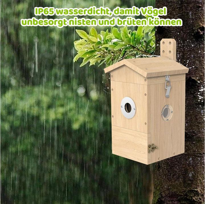 Image du produit Sanilu Clean Sanilu Vogel Nistkasten mit Kamera, Solarpanel inklusive