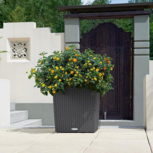 Actual product image Lechuza Flowerpot Cube Cottage 40 (40 x 39 x 40 cm)