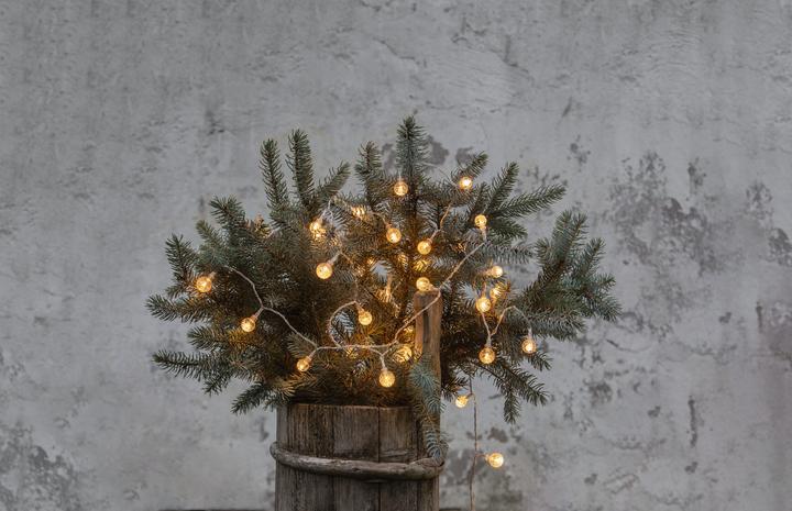 Produktbild Star Trading Berry (5 m)