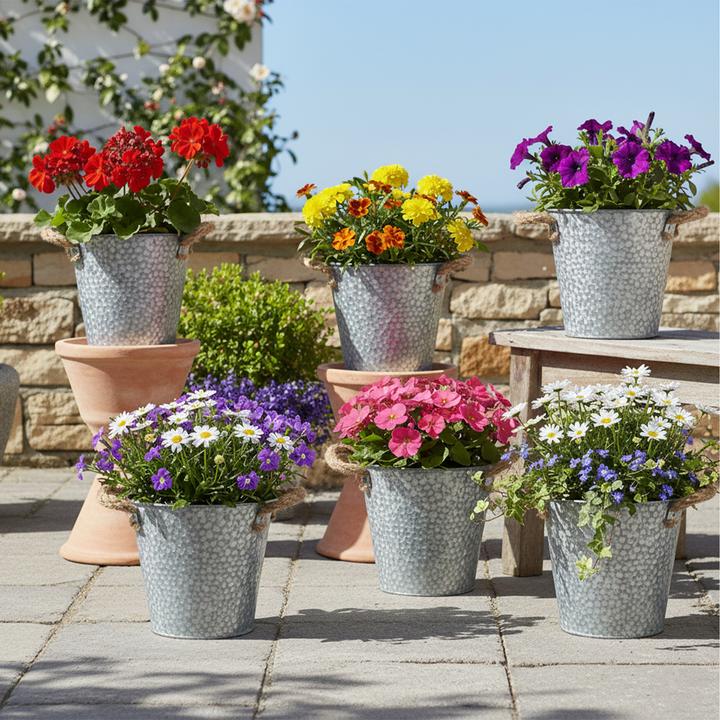 Immagine prodotto Relaxdays Set di 6 vasi rustici (15 cm)