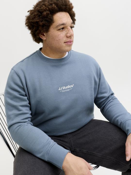 Produktbild Jack & Jones Jjesoho Sweat Crew Neck Noos Pls (7XL)