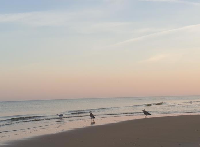 Image du produit Ravensburger GraviTrax Element Looping