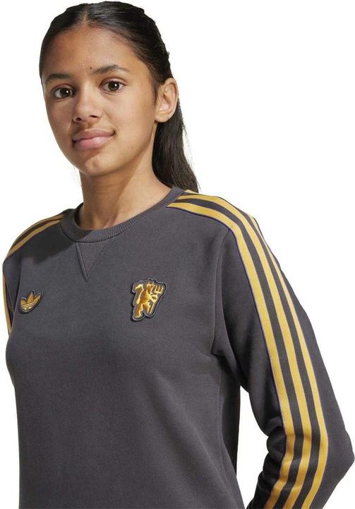Produktbild Adidas Terrace Icons Sweatshirt (146, 152)