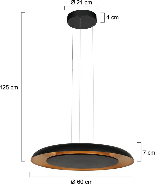 Immagine prodotto Steinhauer Pendelleuchte